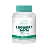 Espinheira Santa 500mg 60 Cápsulas