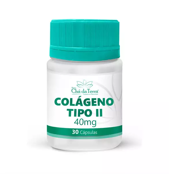 Colágeno Tipo II 40mg 30 Cápsulas