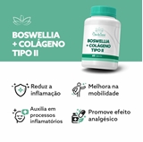 Boswellia + Colágeno Tipo II 60 Cápsulas