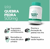 Quebra Pedra 500mg 60 Cápsulas
