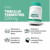 Tribulus Terrestris 500mg 60 Cápsulas