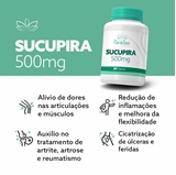 Sucupira 500mg  60 Cápsulas