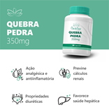 Quebra Pedra 350mg 90 Cápsulas